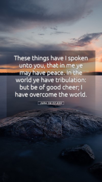 Picture 05 - John 16:33 ASV Mobile Phone Wallpaper - These things have I spoken unto you, that in me - Mobile Bible Verse Wallpaper