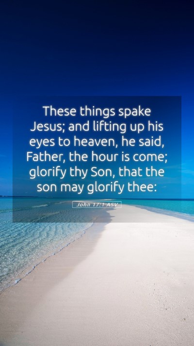 Picture 05 - John 17:1 ASV Mobile Phone Wallpaper - These things spake Jesus; and lifting up his eyes - Mobile Bible Verse Wallpaper