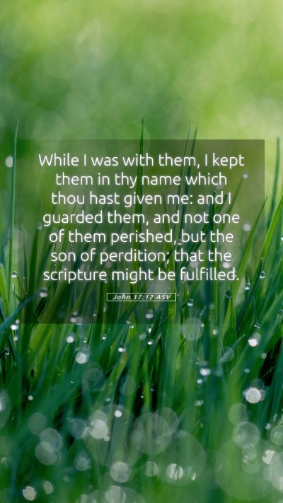 Picture 05 - John 17:12 ASV Mobile Phone Wallpaper - While I was with them, I kept them in thy name - Mobile Bible Verse Wallpaper