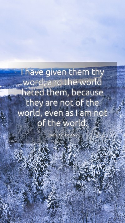 Picture 05 - John 17:14 ASV Mobile Phone Wallpaper - I have given them thy word; and the world hated - Mobile Bible Verse Wallpaper