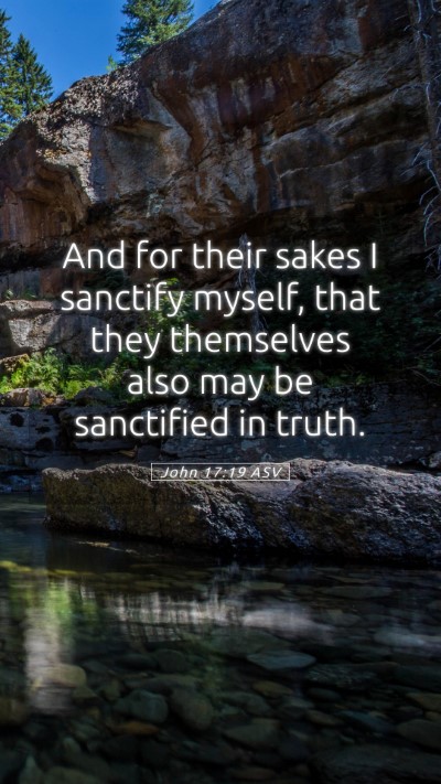 Picture 05 - John 17:19 ASV Mobile Phone Wallpaper - And for their sakes I sanctify myself, that they - Mobile Bible Verse Wallpaper