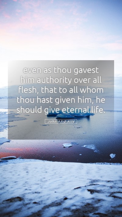 Picture 05 - John 17:2 ASV Mobile Phone Wallpaper - even as thou gavest him authority over all flesh, - Mobile Bible Verse Wallpaper