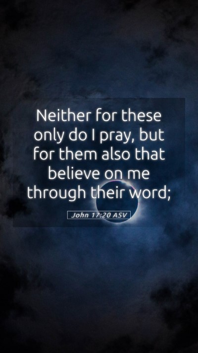 Picture 05 - John 17:20 ASV Mobile Phone Wallpaper - Neither for these only do I pray, but for them - Mobile Bible Verse Wallpaper