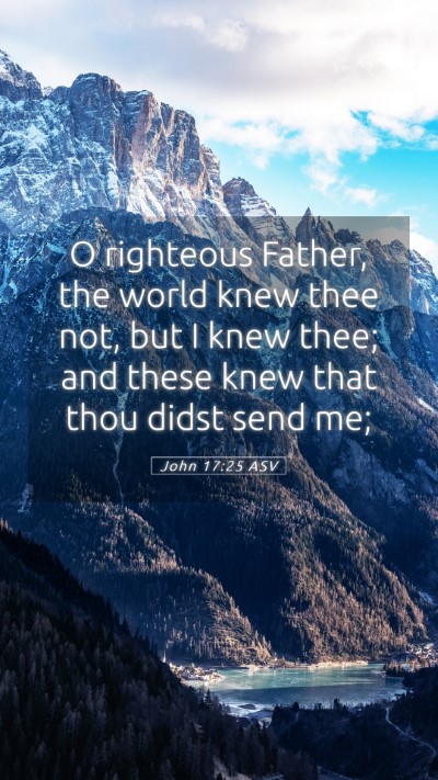 Picture 05 - John 17:25 ASV Mobile Phone Wallpaper - O righteous Father, the world knew thee not, but - Mobile Bible Verse Wallpaper