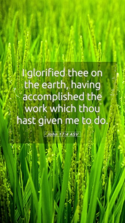 Picture 05 - John 17:4 ASV Mobile Phone Wallpaper - I glorified thee on the earth, having - Mobile Bible Verse Wallpaper