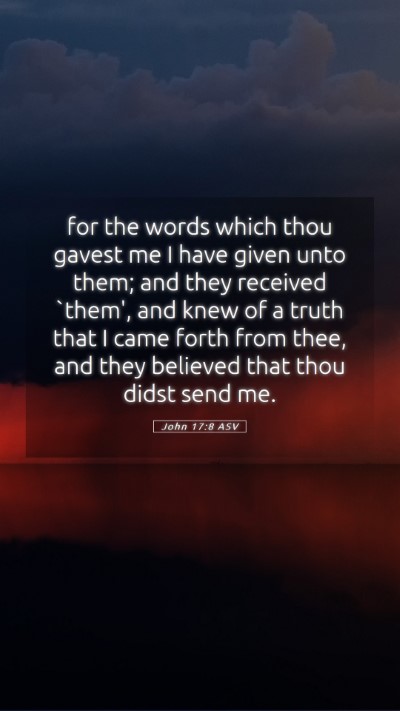 Picture 05 - John 17:8 ASV Mobile Phone Wallpaper - for the words which thou gavest me I have given - Mobile Bible Verse Wallpaper