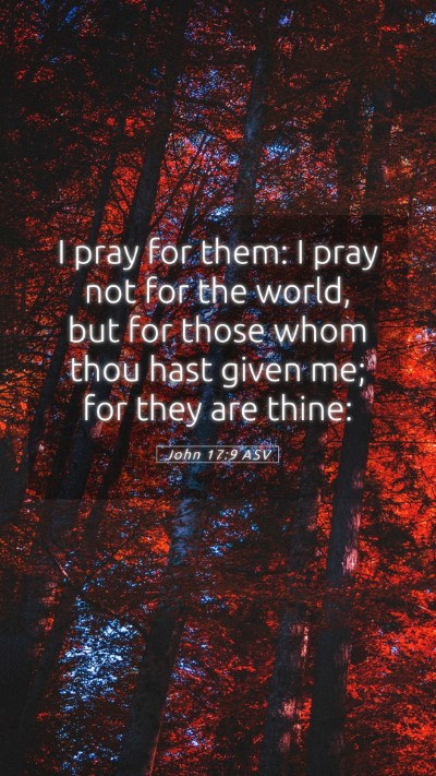 Picture 05 - John 17:9 ASV Mobile Phone Wallpaper - I pray for them: I pray not for the world, but - Mobile Bible Verse Wallpaper