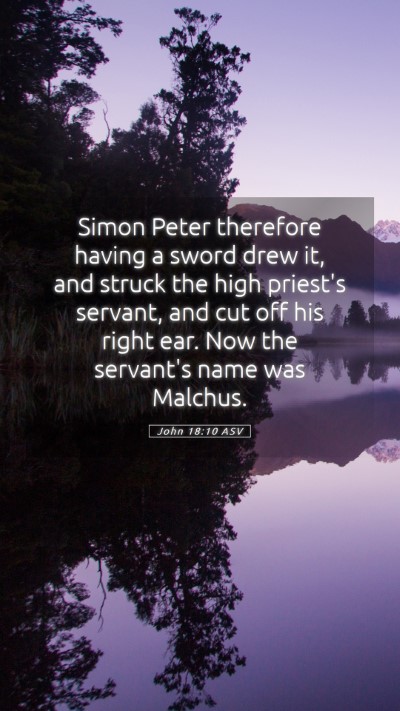 Picture 05 - John 18:10 ASV Mobile Phone Wallpaper - Simon Peter therefore having a sword drew it, and - Mobile Bible Verse Wallpaper