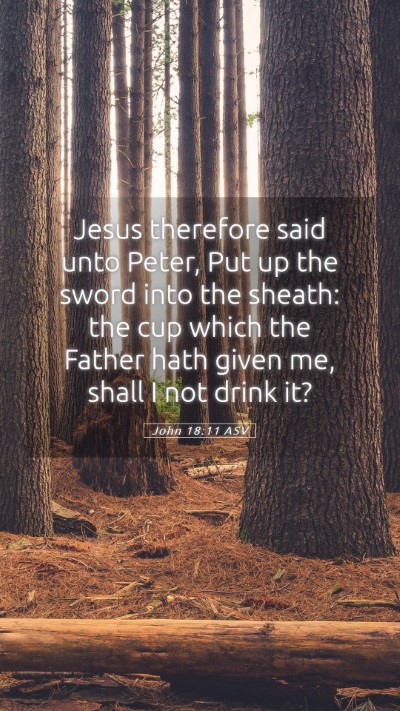 Picture 05 - John 18:11 ASV Mobile Phone Wallpaper - Jesus therefore said unto Peter, Put up the sword - Mobile Bible Verse Wallpaper