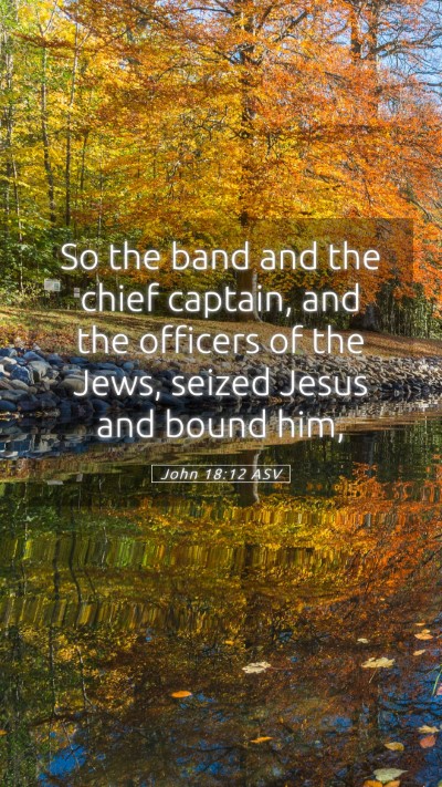 Picture 05 - John 18:12 ASV Mobile Phone Wallpaper - So the band and the chief captain, and the - Mobile Bible Verse Wallpaper