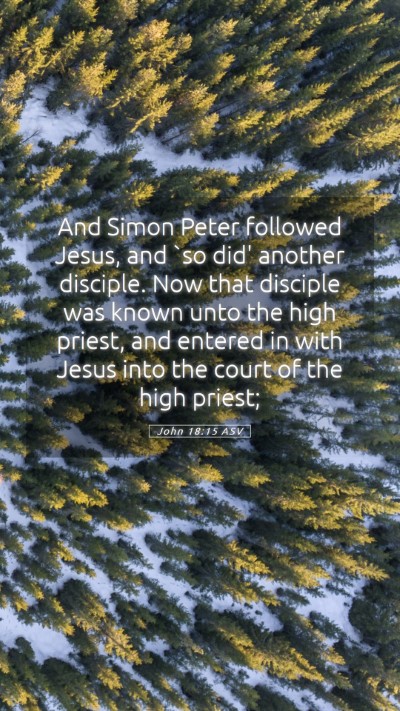 Picture 05 - John 18:15 ASV Mobile Phone Wallpaper - And Simon Peter followed Jesus, and `so did' - Mobile Bible Verse Wallpaper