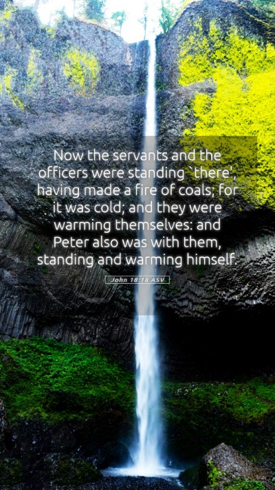 Picture 05 - John 18:18 ASV Mobile Phone Wallpaper - Now the servants and the officers were standing - Mobile Bible Verse Wallpaper