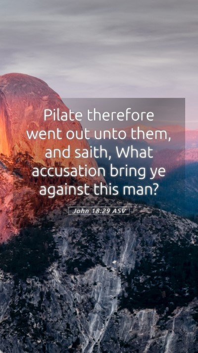 Picture 05 - John 18:29 ASV Mobile Phone Wallpaper - Pilate therefore went out unto them, and saith, - Mobile Bible Verse Wallpaper