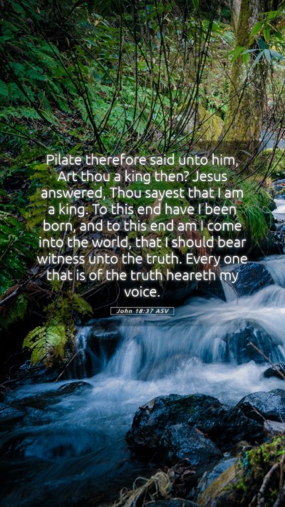 Picture 05 - John 18:37 ASV Mobile Phone Wallpaper - Pilate therefore said unto him, Art thou a king - Mobile Bible Verse Wallpaper