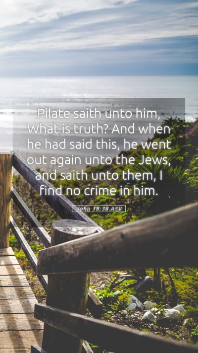 Picture 05 - John 18:38 ASV Mobile Phone Wallpaper - Pilate saith unto him, What is truth? And when he - Mobile Bible Verse Wallpaper