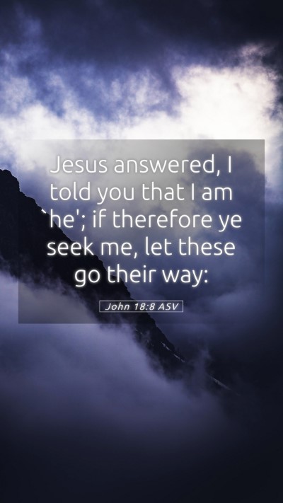 Picture 05 - John 18:8 ASV Mobile Phone Wallpaper - Jesus answered, I told you that I am `he'; if - Mobile Bible Verse Wallpaper