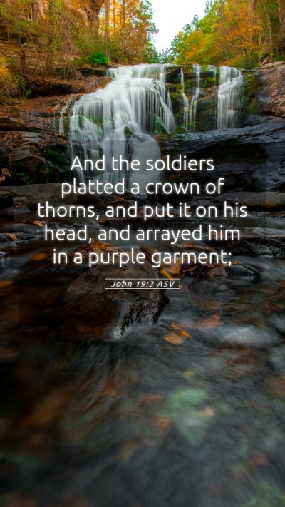 Picture 05 - John 19:2 ASV Mobile Phone Wallpaper - And the soldiers platted a crown of thorns, and - Mobile Bible Verse Wallpaper