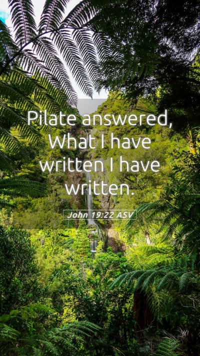 Picture 05 - John 19:22 ASV Mobile Phone Wallpaper - Pilate answered, What I have written I have - Mobile Bible Verse Wallpaper