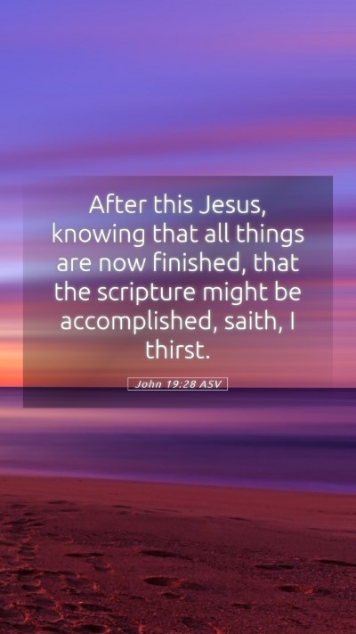 Picture 05 - John 19:28 ASV Mobile Phone Wallpaper - After this Jesus, knowing that all things are now - Mobile Bible Verse Wallpaper