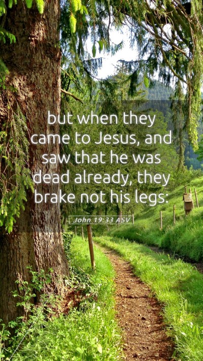 Picture 05 - John 19:33 ASV Mobile Phone Wallpaper - but when they came to Jesus, and saw that he was - Mobile Bible Verse Wallpaper