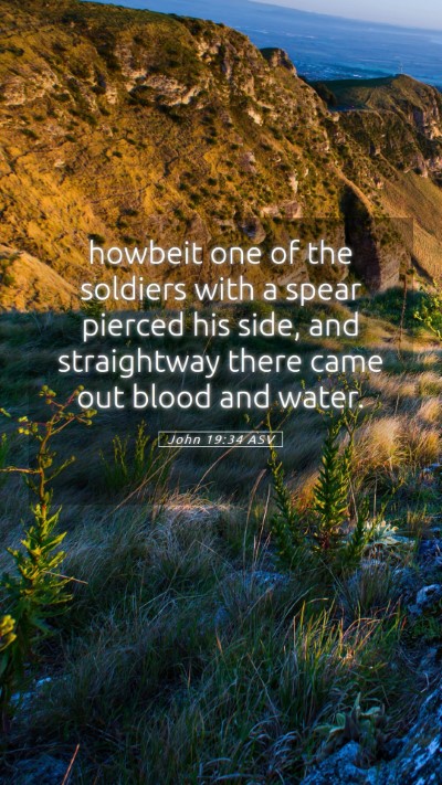 Picture 05 - John 19:34 ASV Mobile Phone Wallpaper - howbeit one of the soldiers with a spear pierced - Mobile Bible Verse Wallpaper
