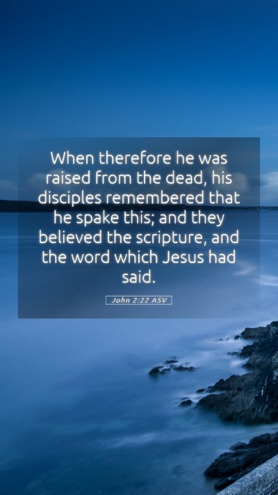 Picture 05 - John 2:22 ASV Mobile Phone Wallpaper - When therefore he was raised from the dead, his - Mobile Bible Verse Wallpaper