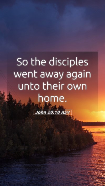 Picture 05 - John 20:10 ASV Mobile Phone Wallpaper - So the disciples went away again unto their own - Mobile Bible Verse Wallpaper
