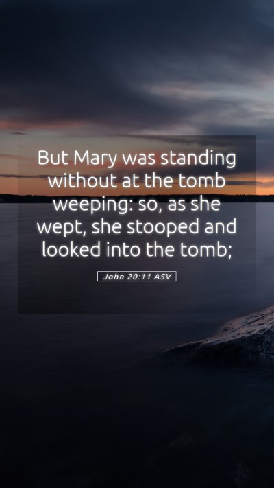 Picture 05 - John 20:11 ASV Mobile Phone Wallpaper - But Mary was standing without at the tomb - Mobile Bible Verse Wallpaper