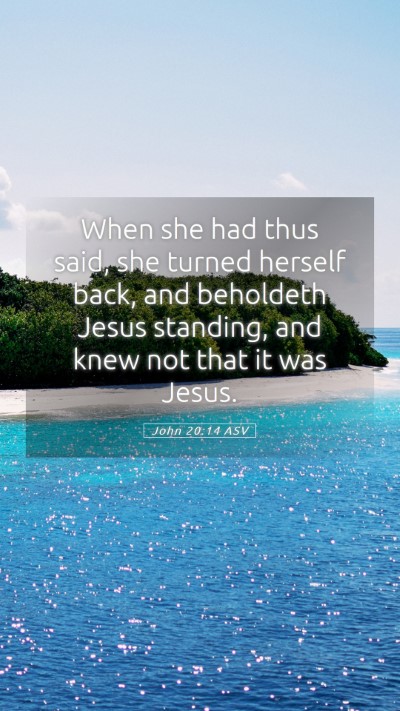 Picture 05 - John 20:14 ASV Mobile Phone Wallpaper - When she had thus said, she turned herself back, - Mobile Bible Verse Wallpaper
