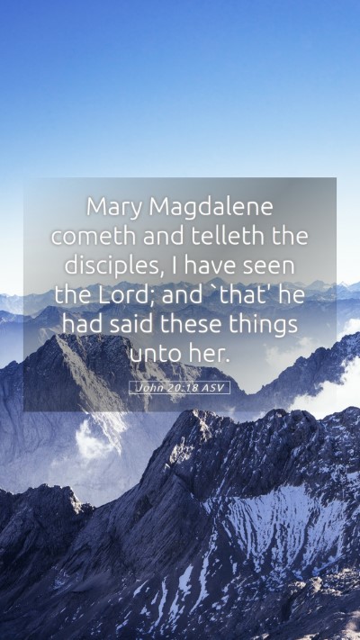 Picture 05 - John 20:18 ASV Mobile Phone Wallpaper - Mary Magdalene cometh and telleth the disciples, - Mobile Bible Verse Wallpaper