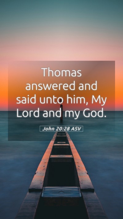 Picture 05 - John 20:28 ASV Mobile Phone Wallpaper - Thomas answered and said unto him, My Lord and my - Mobile Bible Verse Wallpaper