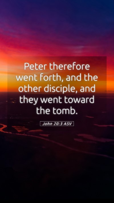 Picture 05 - John 20:3 ASV Mobile Phone Wallpaper - Peter therefore went forth, and the other - Mobile Bible Verse Wallpaper