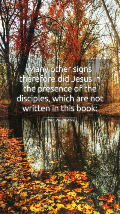 Picture 05 - John 20:30 ASV Mobile Phone Wallpaper - Many other signs therefore did Jesus in the - Mobile Bible Verse Wallpaper