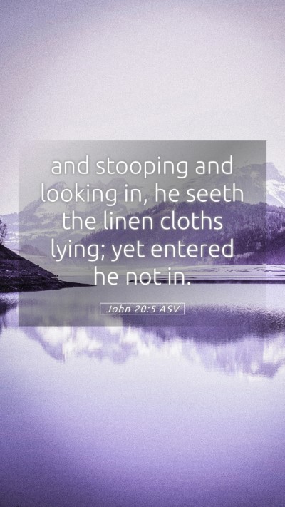 Picture 05 - John 20:5 ASV Mobile Phone Wallpaper - and stooping and looking in, he seeth the linen - Mobile Bible Verse Wallpaper
