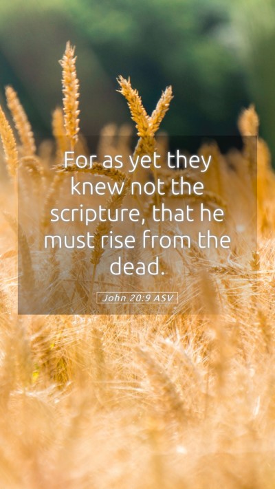 Picture 05 - John 20:9 ASV Mobile Phone Wallpaper - For as yet they knew not the scripture, that he - Mobile Bible Verse Wallpaper