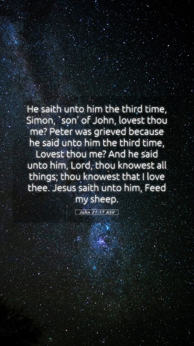 Picture 05 - John 21:17 ASV Mobile Phone Wallpaper - He saith unto him the third time, Simon, `son' of - Mobile Bible Verse Wallpaper