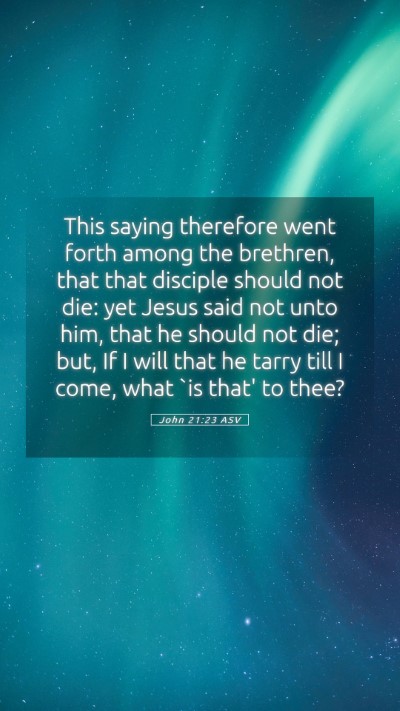 Picture 05 - John 21:23 ASV Mobile Phone Wallpaper - This saying therefore went forth among the - Mobile Bible Verse Wallpaper