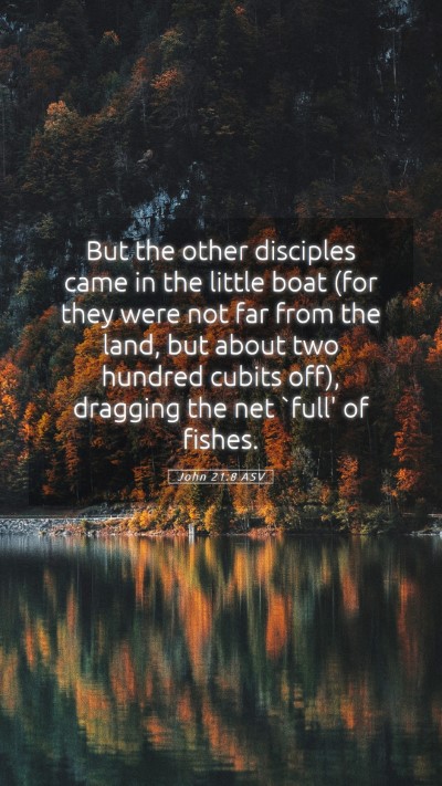 Picture 05 - John 21:8 ASV Mobile Phone Wallpaper - But the other disciples came in the little boat - Mobile Bible Verse Wallpaper