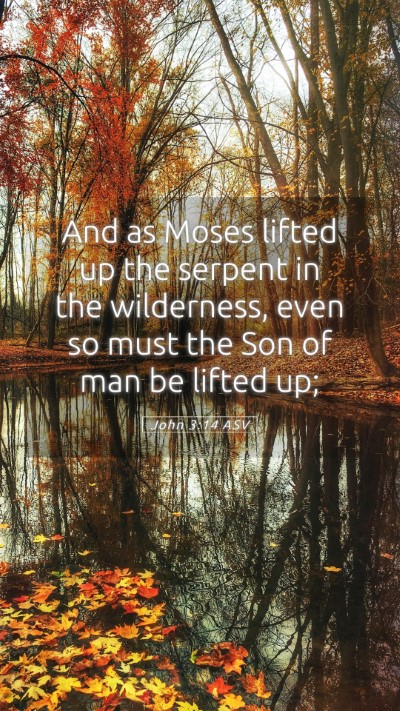 Picture 05 - John 3:14 ASV Mobile Phone Wallpaper - And as Moses lifted up the serpent in the - Mobile Bible Verse Wallpaper