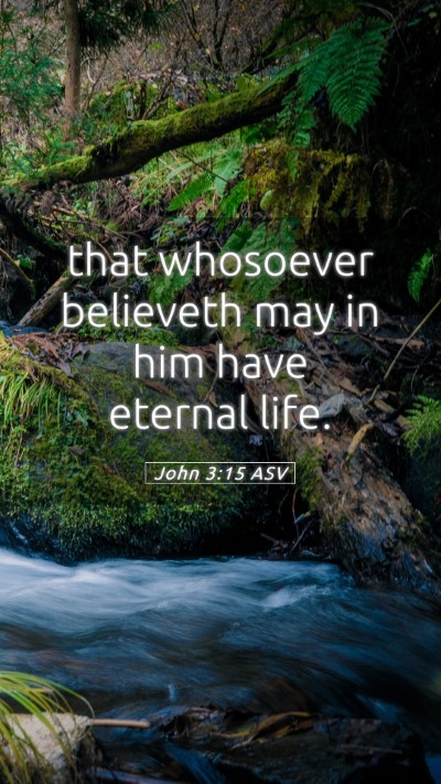 Picture 05 - John 3:15 ASV Mobile Phone Wallpaper - that whosoever believeth may in him have eternal - Mobile Bible Verse Wallpaper