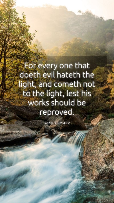 Picture 05 - John 3:20 ASV Mobile Phone Wallpaper - For every one that doeth evil hateth the light, - Mobile Bible Verse Wallpaper