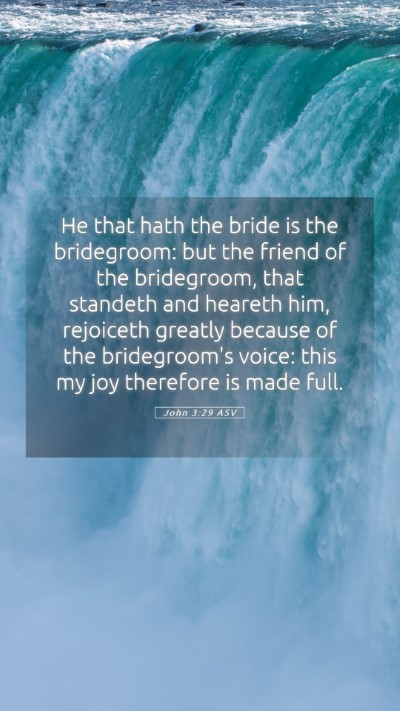 Picture 05 - John 3:29 ASV Mobile Phone Wallpaper - He that hath the bride is the bridegroom: but the - Mobile Bible Verse Wallpaper