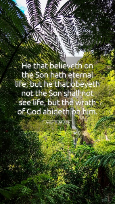 Picture 05 - John 3:36 ASV Mobile Phone Wallpaper - He that believeth on the Son hath eternal life; - Mobile Bible Verse Wallpaper