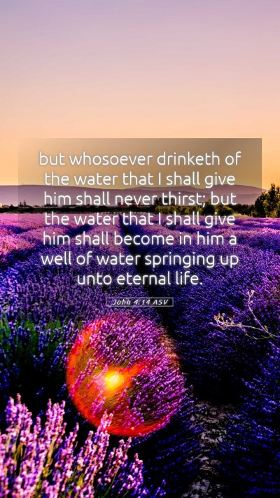 Picture 05 - John 4:14 ASV Mobile Phone Wallpaper - but whosoever drinketh of the water that I shall - Mobile Bible Verse Wallpaper
