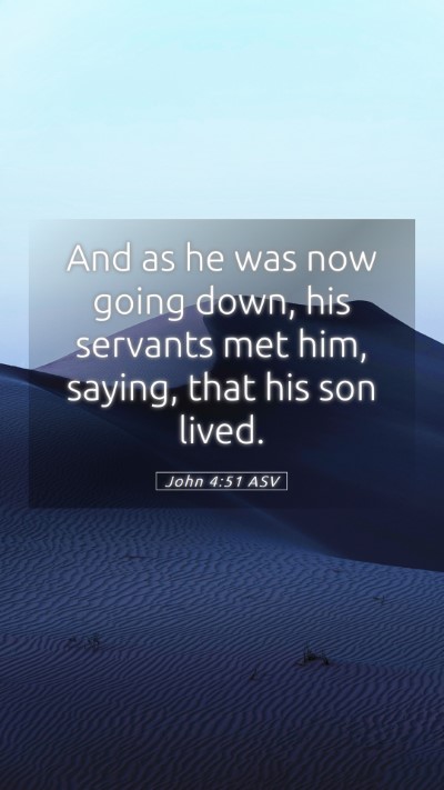Picture 05 - John 4:51 ASV Mobile Phone Wallpaper - And as he was now going down, his servants met - Mobile Bible Verse Wallpaper