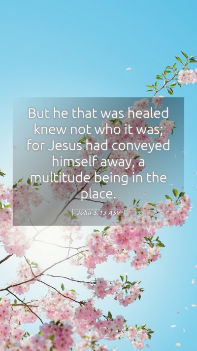 Picture 05 - John 5:13 ASV Mobile Phone Wallpaper - But he that was healed knew not who it was; for - Mobile Bible Verse Wallpaper