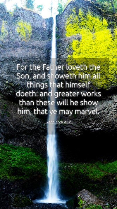 Picture 05 - John 5:20 ASV Mobile Phone Wallpaper - For the Father loveth the Son, and showeth him - Mobile Bible Verse Wallpaper