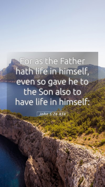 Picture 05 - John 5:26 ASV Mobile Phone Wallpaper - For as the Father hath life in himself, even so - Mobile Bible Verse Wallpaper