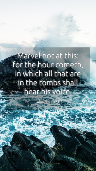 Picture 05 - John 5:28 ASV Mobile Phone Wallpaper - Marvel not at this: for the hour cometh, in which - Mobile Bible Verse Wallpaper