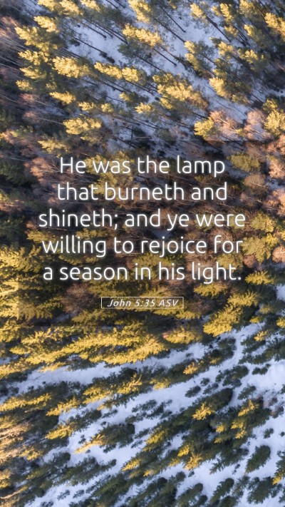 Picture 05 - John 5:35 ASV Mobile Phone Wallpaper - He was the lamp that burneth and shineth; and ye - Mobile Bible Verse Wallpaper
